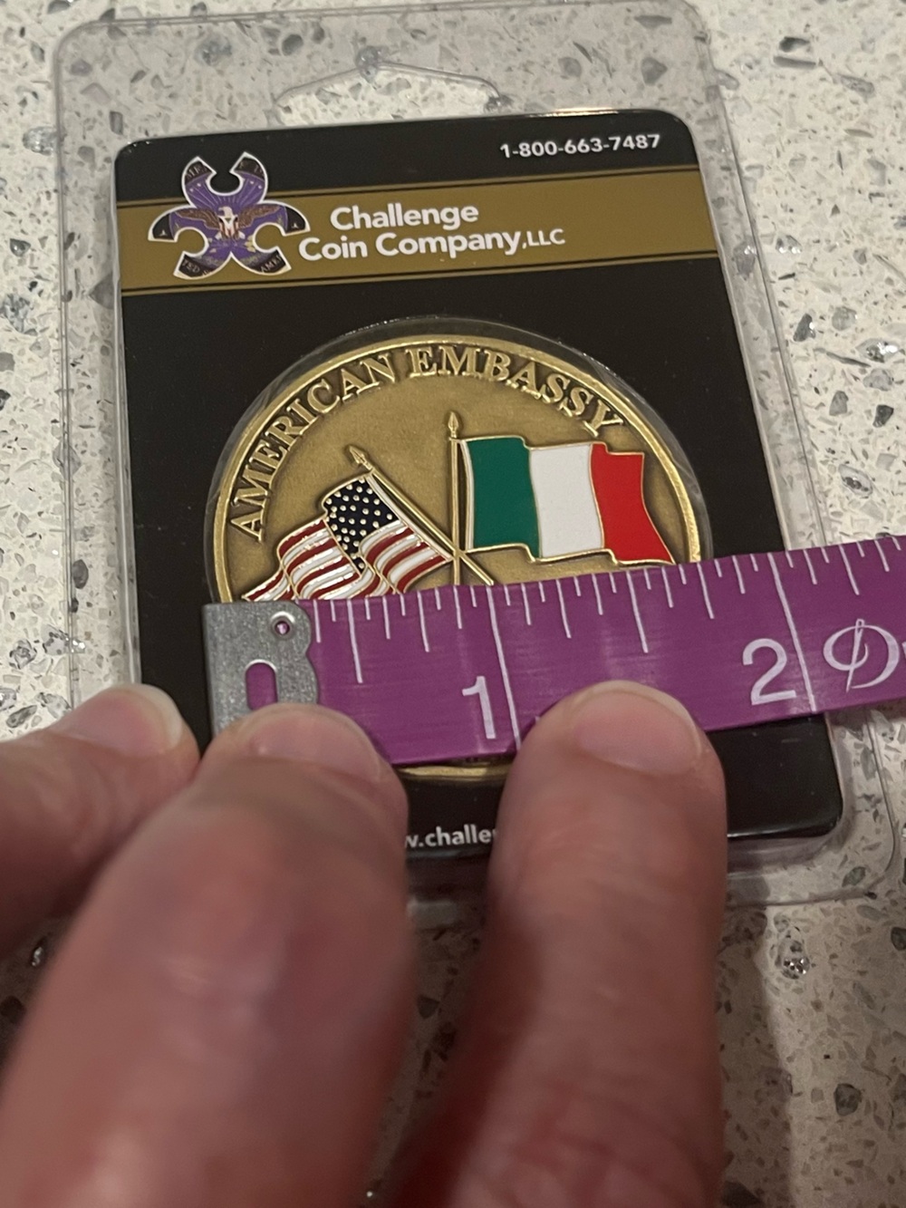 Embassy Challenge Coin Collection-Romania, Poland, Guatemala, Italy, Etc - Picture 5 of 16